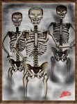 skeletonswhite.jpg