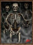 skeletonsblack.jpg