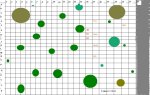 OldForest_1.JPG