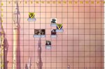 Encounter 4c.jpg