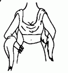 outfit2.gif
