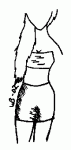 outfit3.gif