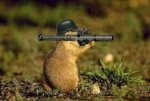 new warfighter.jpg