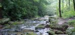 stream.jpg