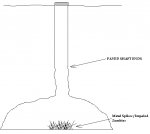 Well Diagram 001.jpg