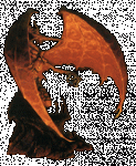 darksun dragon.gif