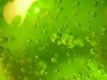 ectoplasmic-ooze.jpeg