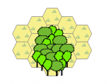 Forest Example.png
