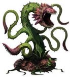 flytrap, giant.jpg