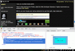 firebug demo.gif