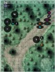 C1-r5.jpg