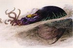 Black-Silt-Horror.jpg