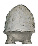 Stool.png