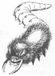 tenebrous worm.jpg