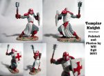 templar_knight_collage_by_surftiki-d47ir95.jpg
