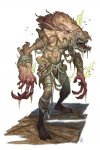 Caulborn.jpg