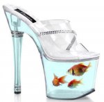 1524a75136312dbfc7b6e0283c35a115--cool-fish-tanks-tropical-fish-tanks.jpg