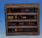 mini_100_library_shelf02.jpeg
