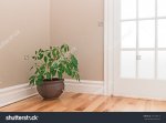 stock-photo-green-plant-in-a-clay-pot-decorating-the-corner-of-a-room-with-a-glass-door-14173891.jpg