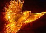 phoenix 001.jpg