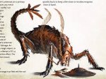 rust monster 001.jpg