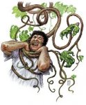 assassin vine 001.jpg