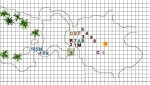 Dwarf Sanctuary 11.jpg