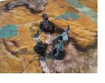 BARBED SCORPION 01.jpg
