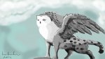 Owl griffon.jpg