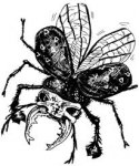jishun mushi 001.jpg