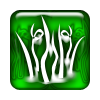 Entangled.png
