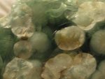 green rock 5.JPG