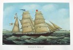barque-molly.jpg