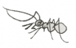 E1597130-B079-4B76-9506-81B467AB18B7.png