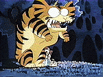 rei1.gif