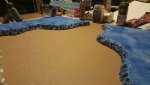 IMG_20170210_055028.jpg