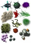 map-objects-sealife.jpg