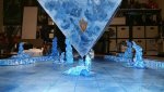IMG_20170211_061358.jpg