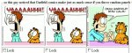RandomGarfield4.jpg