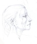 Virelai profile.jpg