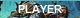 player.jpg