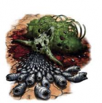 rot grub.png