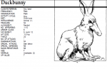 duckbunny.png