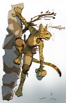tabaxi.jpg