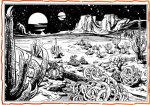 Stony barrens.JPG