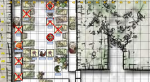 Cannith.png