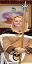 Goldmoon (not sure).JPG