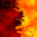 fire.jpg
