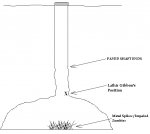 Well Diagram 001a.jpg