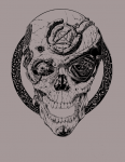 DCFrontthumb.png